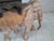 Vintage Hand-Carved Wooden Elephant Plant Stand, 1960s For Sale - Image 17 of 18