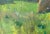 1980s Rural Landscape Antique Painting Original Soviet Art Ukrainian Artist Sokolovsky G. 35-50 1980s For Sale - Image 5 of 6
