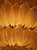 1990s Venetian Murano Ceiling Light, 1990 For Sale - Image 5 of 12