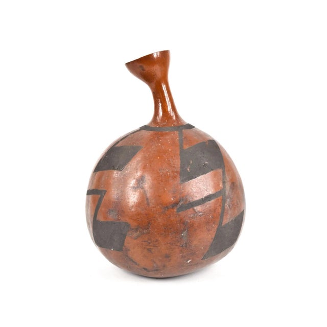 The calabash, also known as the bottle gourd, holds a remarkable historical significance, marking human migration across...