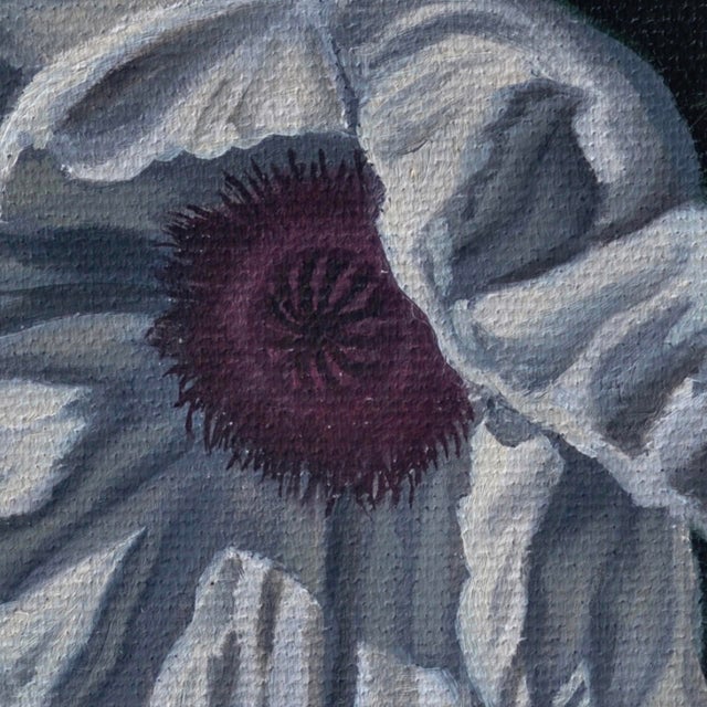 This oil on canvas artwork features a single white poppy, its delicate petals intricately rendered against a dark...