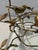 Brass Birds on Branches Coffee Table Manner of Giacometti For Sale - Image 10 of 12