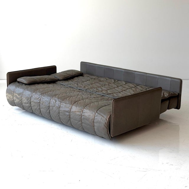 Animal Skin 1970s Ds-69 Leather Sleeper Sofa by De Sede For Sale - Image 7 of 11