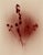 Ugne Pouwell, Vestige Abstract Expression Edition of 10, Photograph For Sale - Image 3 of 3