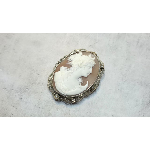 Victorian Antique Shell Cameo White Gold With Diamond Brooch Greek Goddess Artemis For Sale - Image 3 of 8