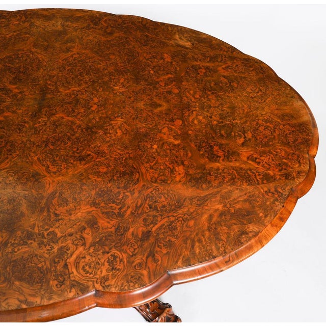Antique Oval Tilt Top Loo Dining Table in Burr Walnut, 1800s For Sale - Image 4 of 18
