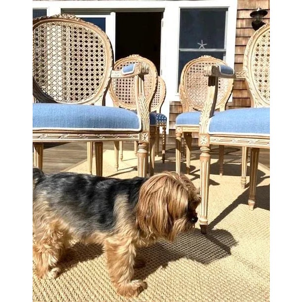 Set of 6 Custom Italian Cane Back Chairs in Light Blue For Sale - Image 14 of 15