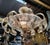 Vintage Murano Chandelier in Clear Blown Glass, 1950s For Sale - Image 4 of 7