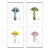 Mushroom by Lia Burke Libaire in White Frame, Small Art Prints, Set of 4 For Sale