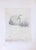 Image dimensions: 32.5 x 24.5 cm. Le Piante Grasse is an original artwork realized by Luigi Bartolini in 1949. Precious...