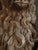19th Century Neo-Renaissance French Heraldic Lion Sculptures, 1870s, Set of 2 For Sale - Image 17 of 18