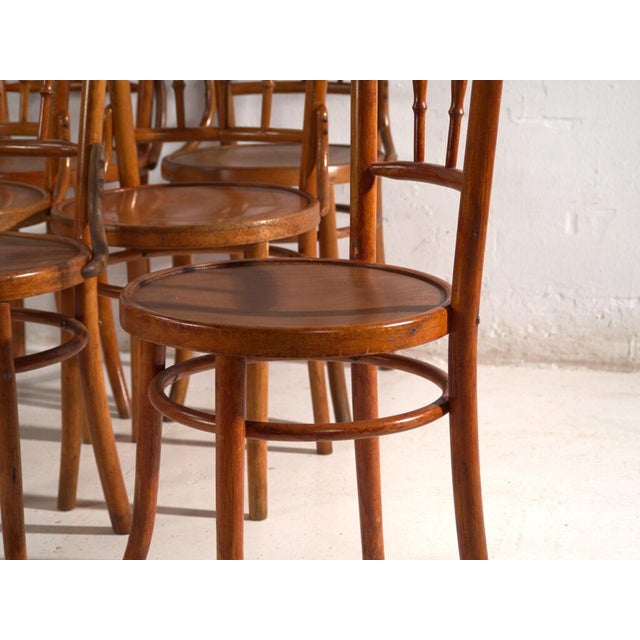 Bentwood Chairs in the style of Thonet, Central Europe, 1930, Set of 4 For Sale - Image 3 of 18