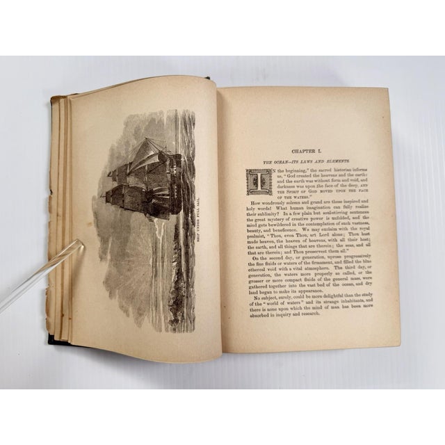 1884 the Water World by J W Van Dervoort Illustrated Book About Sea Life, Ghost Ships For Sale - Image 10 of 17