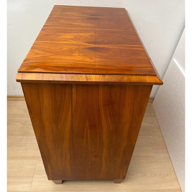 Black Biedermeier Ebonized Chest of Drawers in Cherry Veneer, South Germany, 1830 For Sale - Image 8 of 18