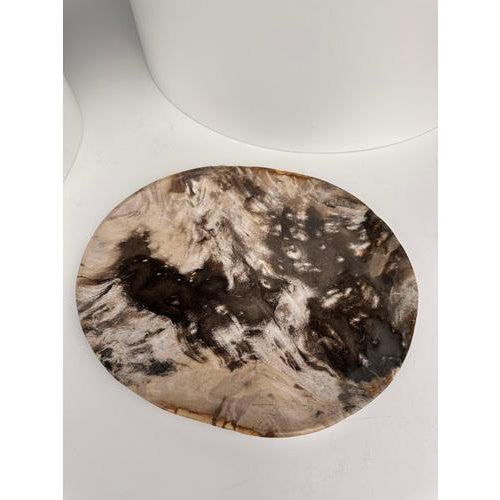 Very Large Vide-Poche or Dish in Petrified Wood For Sale - Image 17 of 18