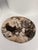 Very Large Vide-Poche or Dish in Petrified Wood For Sale - Image 17 of 18