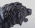Early 20th Century Black Patinated Metal Roaring Male Lion Sculpture For Sale - Image 4 of 8