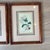 Paper Antique 1837 English Botanical Framed Prints- Set of 3 For Sale - Image 7 of 12