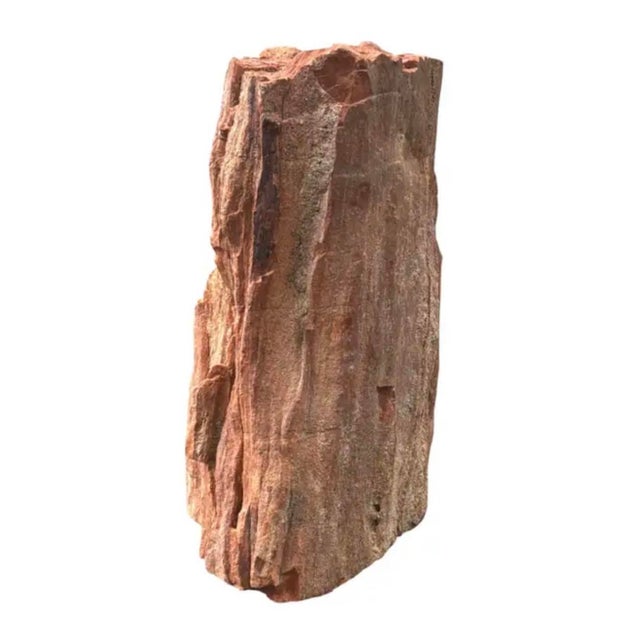 Petrified Wood Sculpture, Organic Modern Design, #2 For Sale - Image 4 of 13