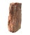 Petrified Wood Sculpture, Organic Modern Design, #2 For Sale - Image 4 of 13