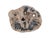 This remarkable petrified wood coffee table is currently presented on a minimalist black steel frame with a height of...