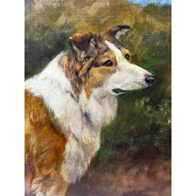 Brown Important British c.1898 Victorian Oil Portrait of a Rough Collie Dog After John Emms Gilt Framed For Sale - Image 8 of 18