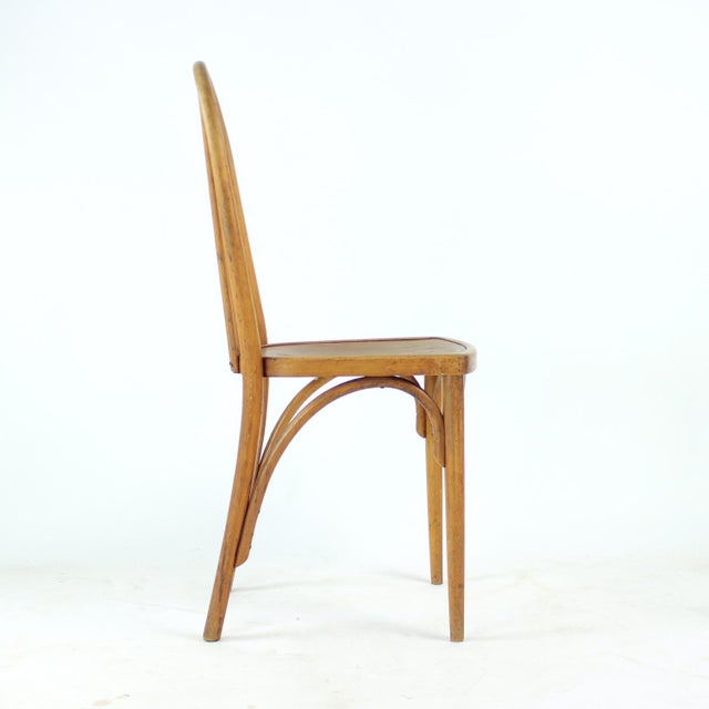 Oak Bentwood Chair by Michael Thonet, 1920s For Sale - Image 14 of 16