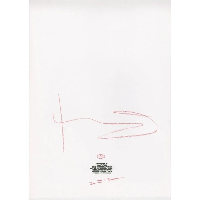 Bert stern Marilyn Monroe Gold Apricot Wink Roses Mythical photo of the last seance (1962) ink jet print by bert stern...