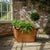 Late 19th Century Antique Copper Boiler Wash Tub-Wood Handles-Primitive Farmhouse-Bin-Planter For Sale - Image 5 of 11