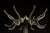 Antique Chippy Barber Shop Coat Rack in Green For Sale - Image 4 of 9
