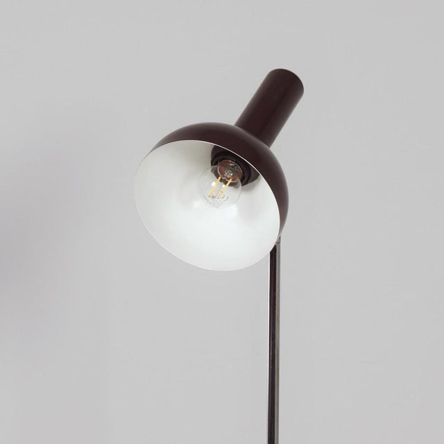 Brown Adjustable Floor Lamp by Busquet for Hala, 1960s For Sale - Image 9 of 12