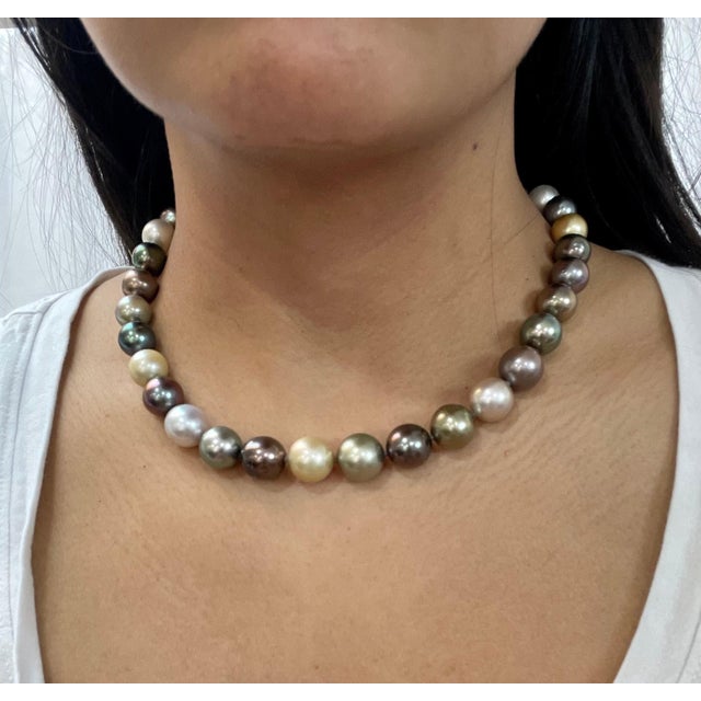 David Yurman Multi-Color South Sea Pearl Limited Edition Strand Necklace For Sale - Image 9 of 18