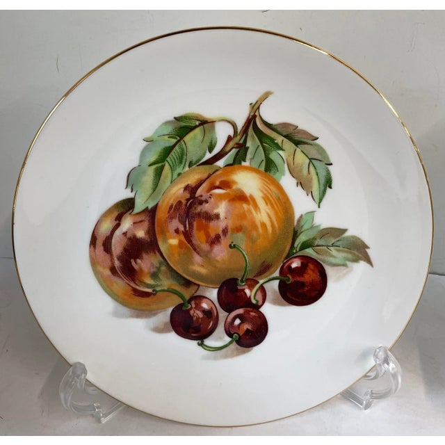 Traditional Vintage Bohemian Fine China Fruit Plates - Set of 2 For Sale - Image 3 of 7