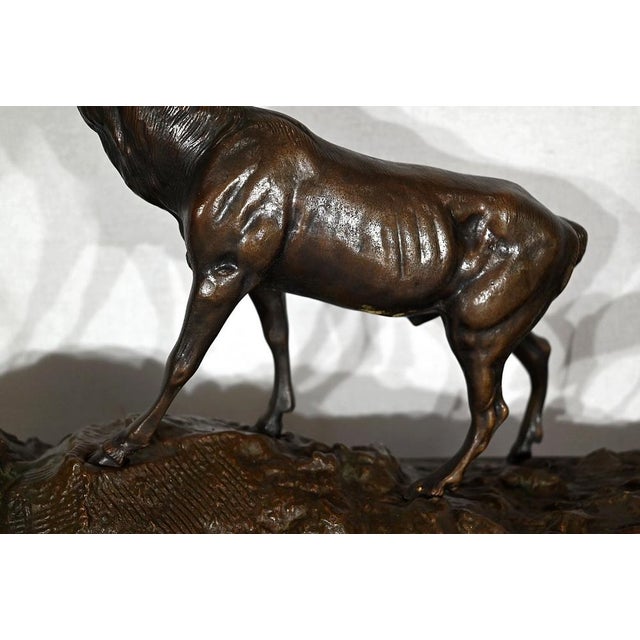 Metal JB. Mêne, Animal Group, Late 1800s, Bronze For Sale - Image 7 of 18