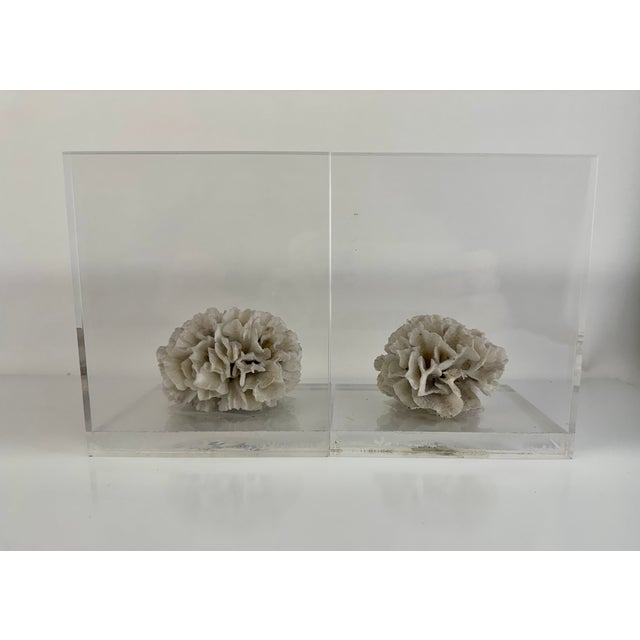 White Vintage Mid Century Lucite Bookends With Natural Coral Specimens, Coastal Modern Sculptural Pair For Sale - Image 8 of 9