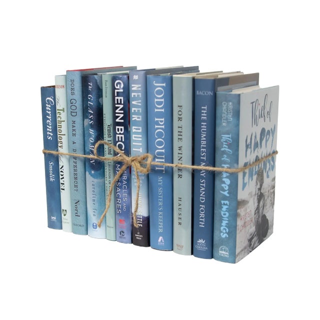 Booth & Williams Decorative Books - Storm Dust Jacket Book Bundle - 1 Foot of Blue Books For Sale - Image 4 of 4