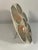 French 1920s Majolica Sarreguemines Oyster Plate For Sale - Image 6 of 10