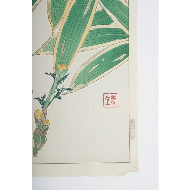 Vintage 1950's Japanese Woodblock Kawarazaki Shodoo Botanical Print For Sale - Image 4 of 8