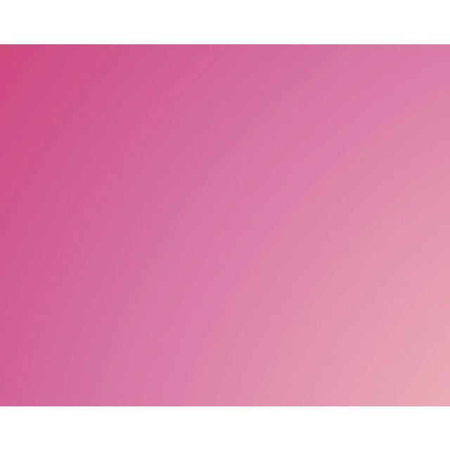 Abstract Paul Snell "Hover # 201913", Photograph For Sale - Image 3 of 4