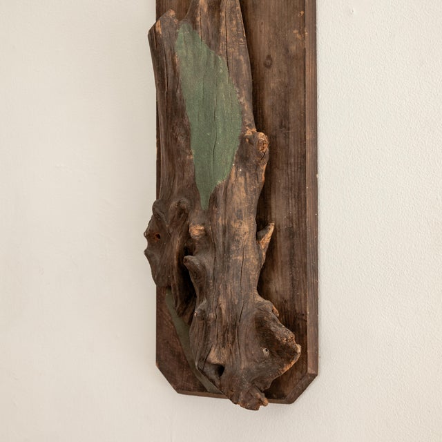 Late 20th Century Sculptural Taxidermy Mount For Sale - Image 4 of 6