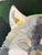 Paint “Flower Eater” Wolf Painting by LWren Walraven For Sale - Image 7 of 13