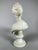 White Marble Sculpture of a Bust of Diana after Houdon (1741-1828), 19th Century For Sale - Image 6 of 8