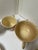 Ceramic 1920s Royal Adams Titan Ware Hand Painted English China “Maytime” Cups and Saucers For Sale - Image 7 of 10