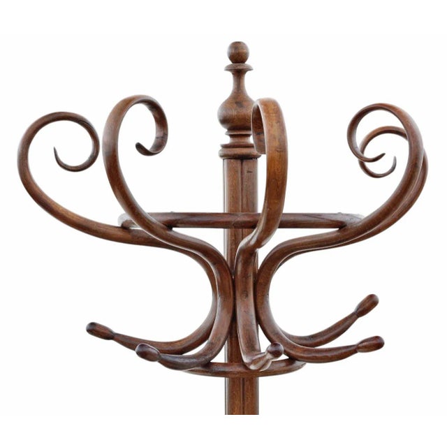 Large Antique Bentwood Coat and Hat Stand, 1890s For Sale - Image 4 of 7