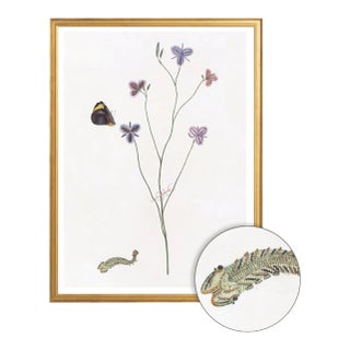Celerie Kemble Curated Australian Botanical II (16x20) in Gold Frame For Sale