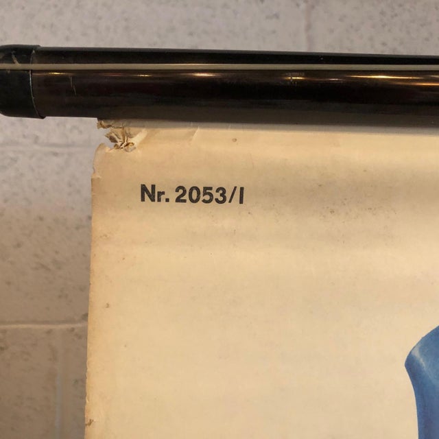 Metal Mid 20th Century German Educational Heart Anatomy Rollup Chart For Sale - Image 7 of 12