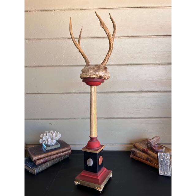 Wood Baroque Curiosity Cabinet Vintage Trophy Antlers W Gilded Column & Specimen Gems For Sale - Image 7 of 14