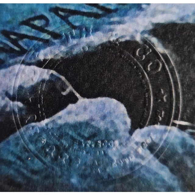 Black Death Nyc - Napoleon- Limited Edition With Certificate For Sale - Image 8 of 10