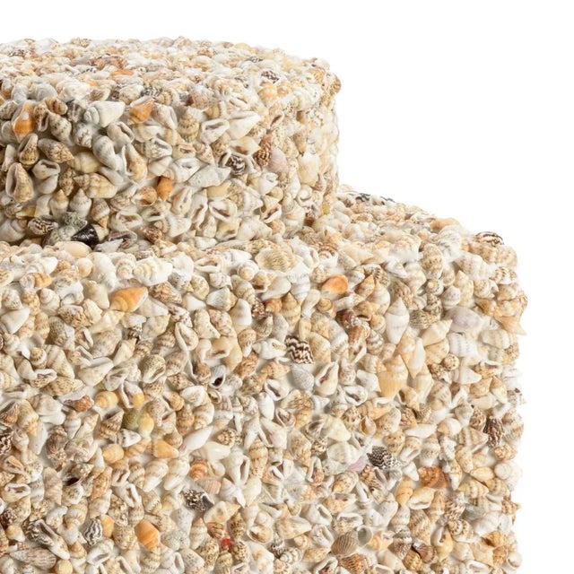 Tea caddy constructed with individually applied nassa shells-lid is not removable.