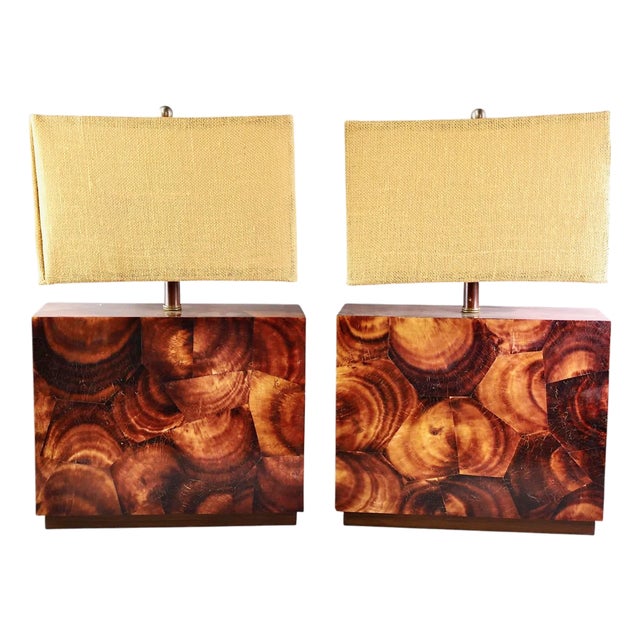 Pair Pierre Giraudon Attributed Fractile Resin Lamps For Sale
